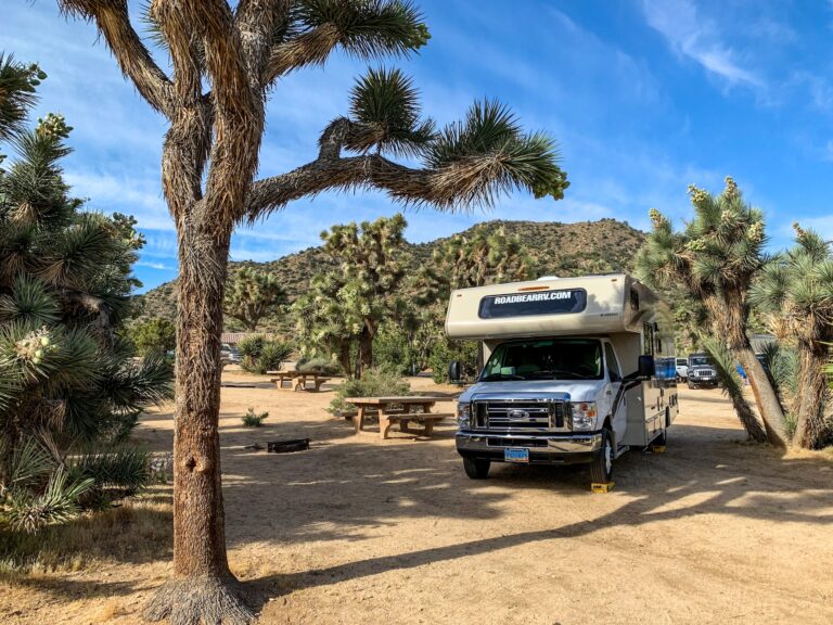 Rv Living: Discover The Ultimate Freedom On Wheels